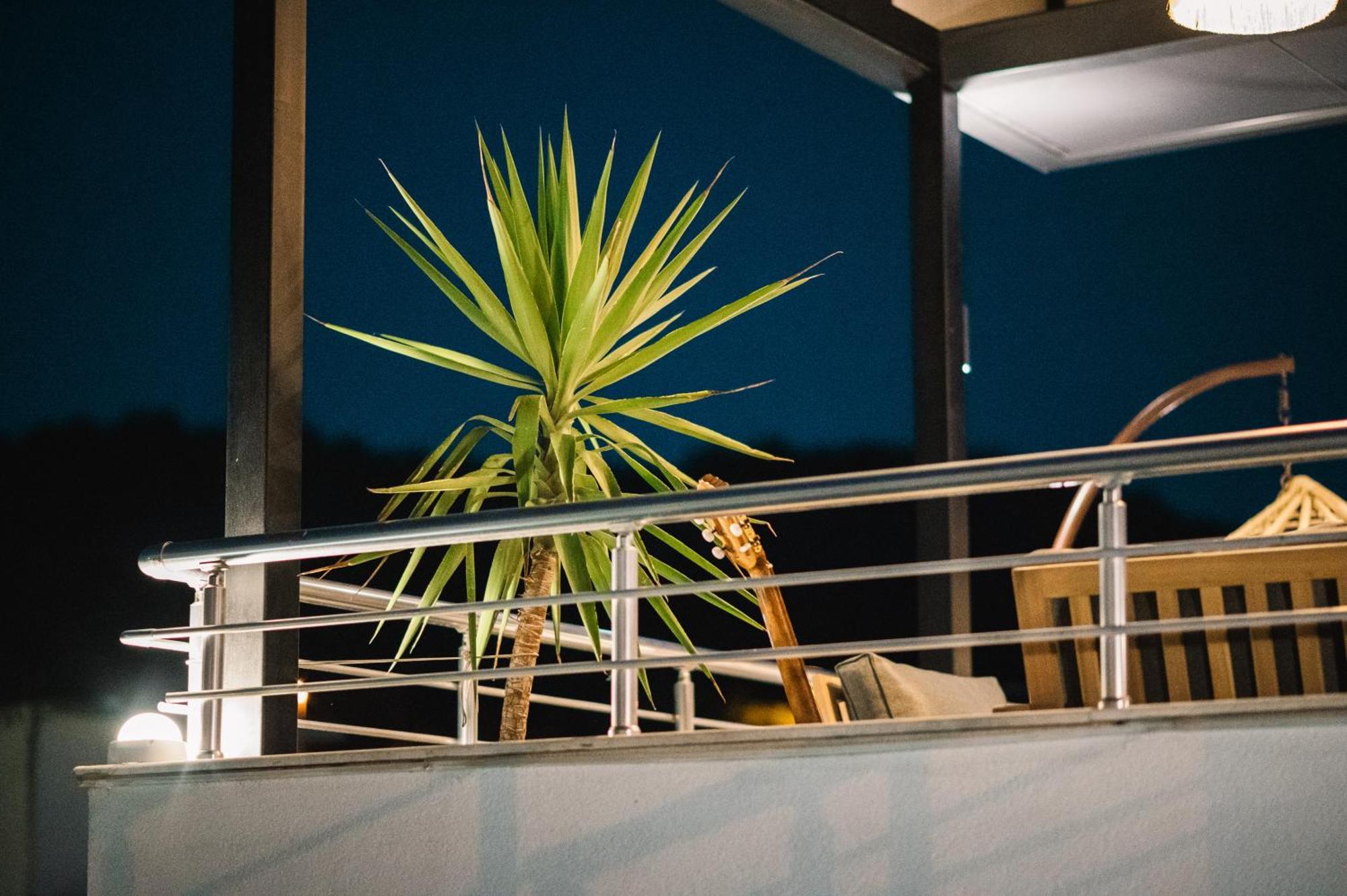 Oleander Appartement *